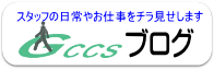 スタッフブログ